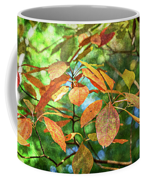 Nature Coffee Mug featuring the photograph Sassafras Leafs Texture 7K_DSC0933_16-10-30 by Greg Kluempers