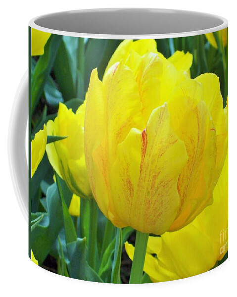 Tulip Coffee Mug featuring the photograph Sassy Yellow Tulip by Carol Riddle