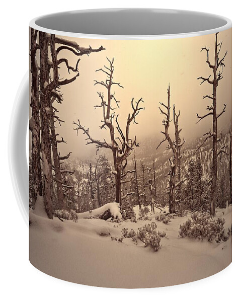Trees Coffee Mug featuring the photograph Saving You by Mark Ross