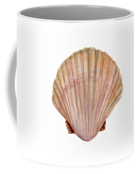 Scallop Shell Painting Coffee Mug featuring the painting Scallop Shell by Amy Kirkpatrick