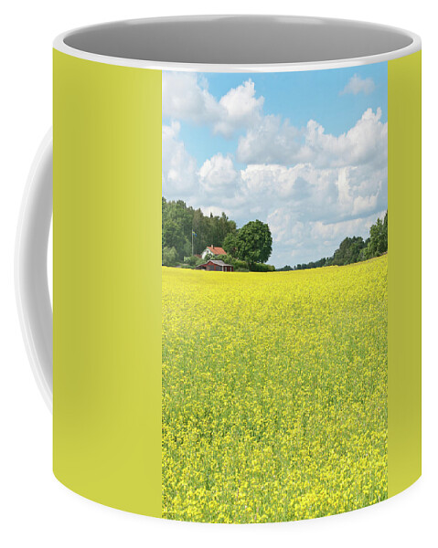 Field Coffee Mug featuring the photograph Scandinavian summer landscape with yellow meadow by GoodMood Art