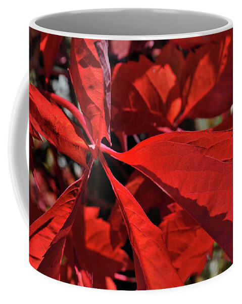 Nature Coffee Mug featuring the photograph Scarlet Intensity by Ron Cline