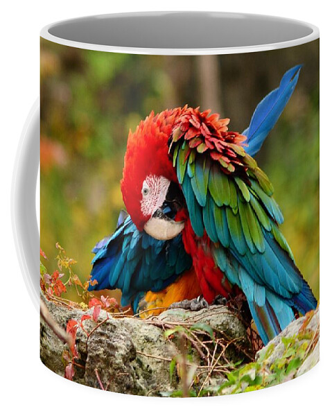 Bird Coffee Mug featuring the photograph Scarlet Macaw by Elaine Manley
