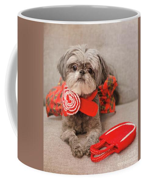 Dog Photography Coffee Mug featuring the photograph Scarlett and Red Purse by Irina ArchAngelSkaya