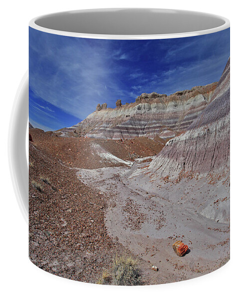 Arizona Coffee Mug featuring the photograph Scattered Fragments by Gary Kaylor
