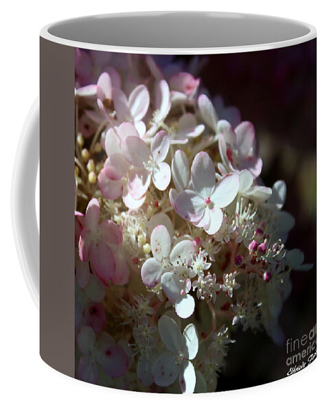Flowers Coffee Mug featuring the photograph Scented by Elfriede Fulda