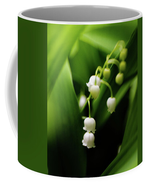 Flower Coffee Mug featuring the photograph Scents of Spring by Pamela Taylor