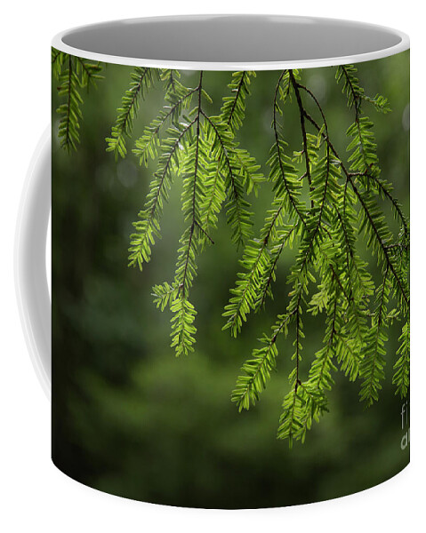 Pine Coffee Mug featuring the photograph Scents Of Summer by Mike Eingle