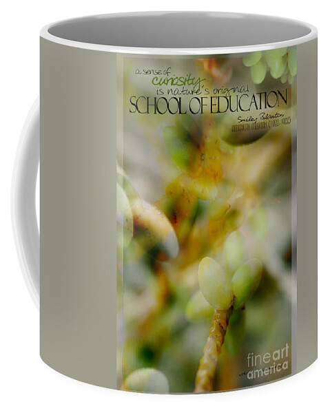 Palm Pods Coffee Mug featuring the photograph School of Curiosity 04 by Vicki Ferrari