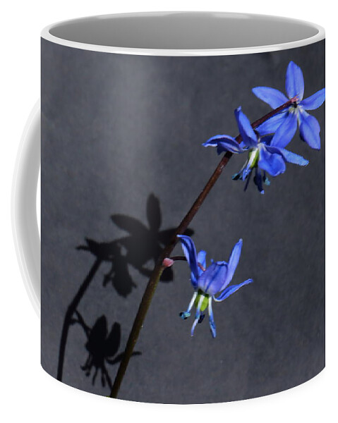Flowers Coffee Mug featuring the photograph Scilla Shadow on a Black Background by Jeff Townsend