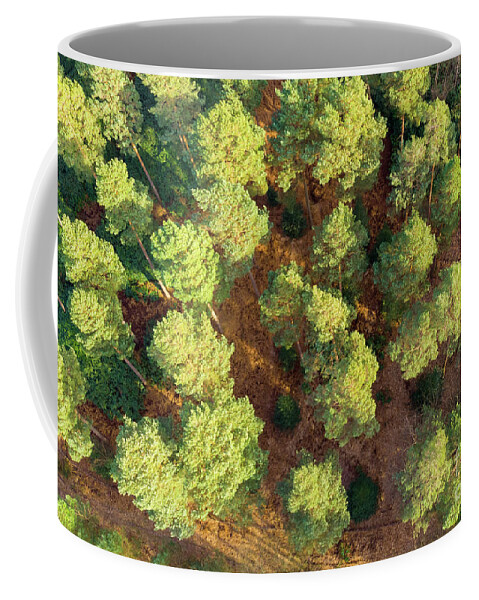 Scots Pines Coffee Mug featuring the photograph Scots Pines by Andy Myatt