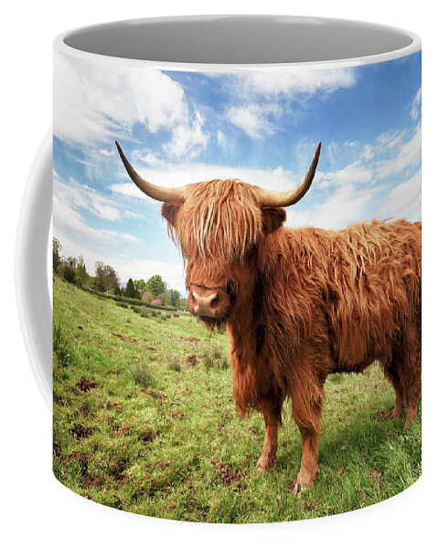 Highland Cow Coffee Mug featuring the photograph Scottish Highland Cow - Trossachs by Grant Glendinning