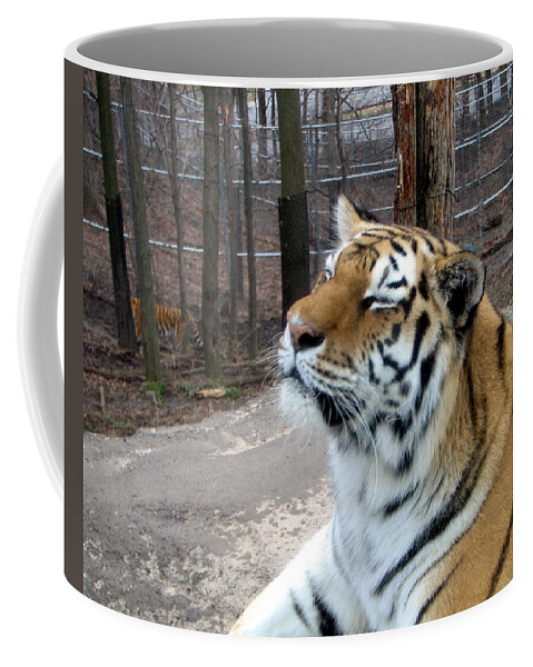 Tiger Print Coffee Mug featuring the photograph Scratch My Chin by George Jones