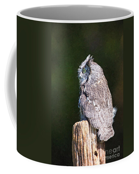 Nature Coffee Mug featuring the photograph Screech Owl Profile by Sharon McConnell
