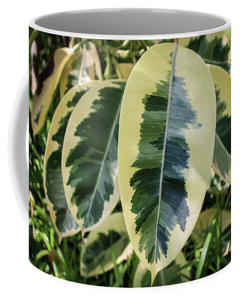 Large Leaf Coffee Mug featuring the photograph Scribble Scrabble by Alison Frank