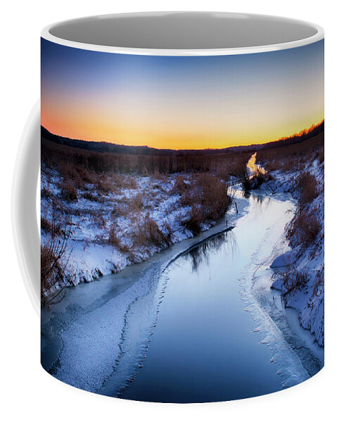  Coffee Mug featuring the photograph Scuppernong by Dan Hefle
