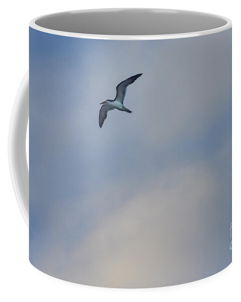 Animal Coffee Mug featuring the photograph Sea Bird in Flight by Tom Brickhouse