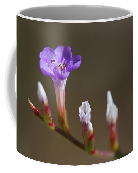 Sealavender Coffee Mug featuring the photograph Sea Lavender by Paul Rebmann