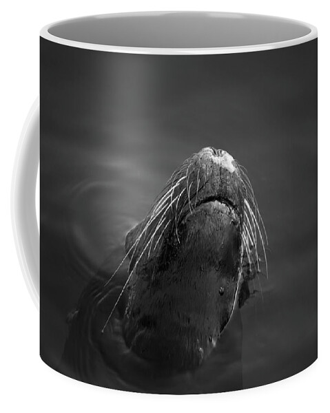 Wildlife Coffee Mug featuring the photograph Sea Lion V BW by David Gordon