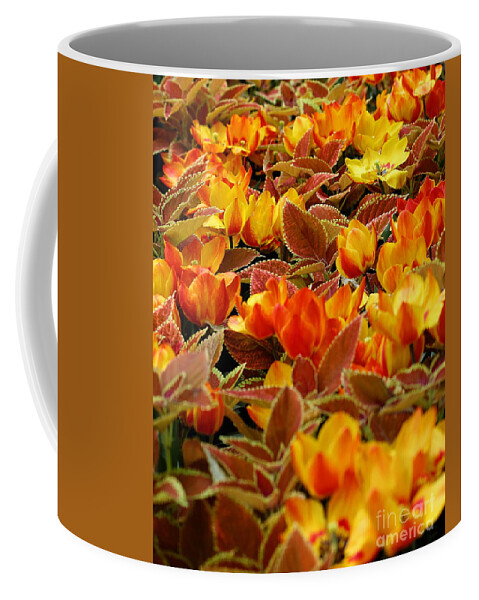  Coffee Mug featuring the photograph Sea of Bright Orange Coleus by Angela Rath