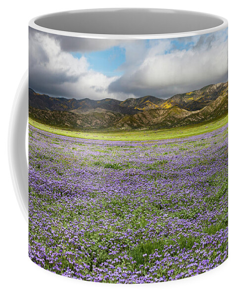 Carrizo Coffee Mug featuring the photograph Sea of Purple by Rick Pisio