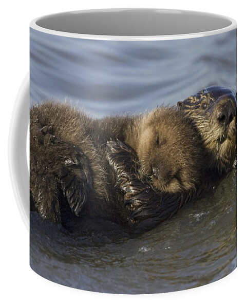 00438549 Coffee Mug featuring the photograph Sea Otter Mother With Pup Monterey Bay by Suzi Eszterhas