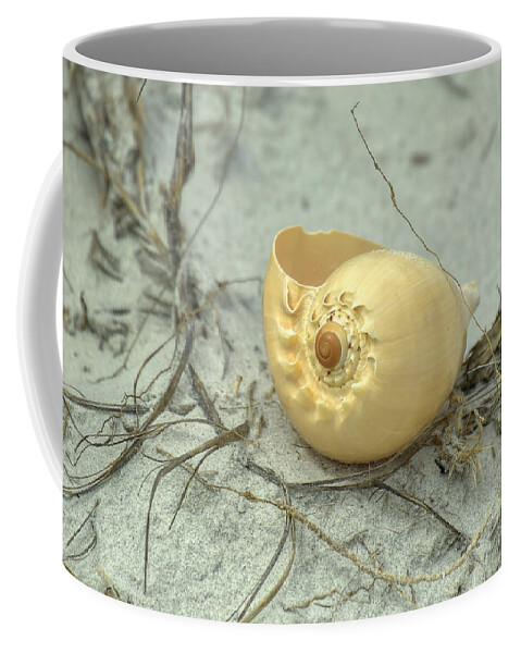 Shell Coffee Mug featuring the photograph Sea Shell On The Beach by Kathy Baccari