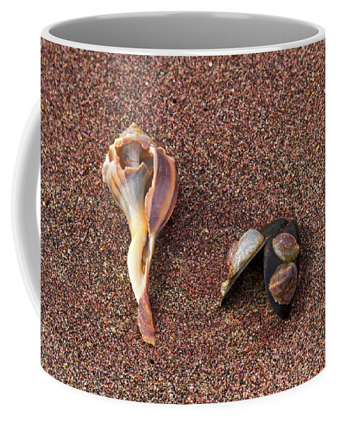 Sea Shells Coffee Mug featuring the photograph Sea shells by David Freuthal