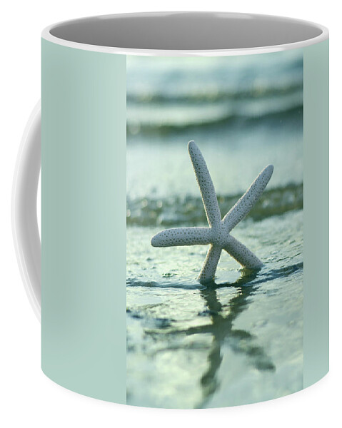 Starfish Coffee Mug featuring the photograph Sea Star Vert by Laura Fasulo