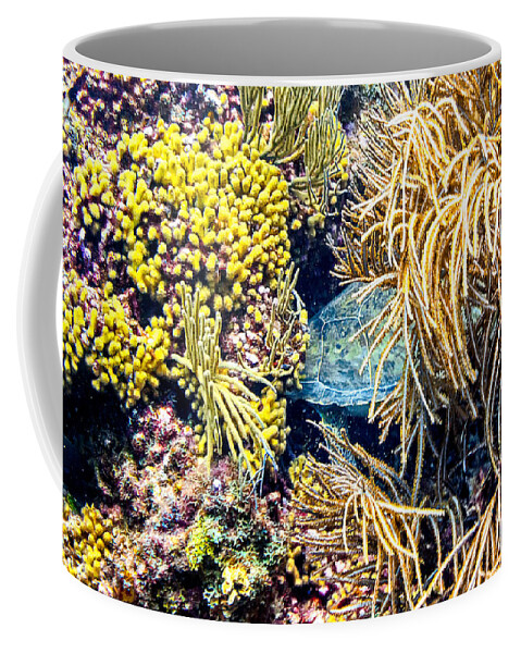 Sea Turtle Coffee Mug featuring the photograph Sea Turtle Hiding by Perla Copernik