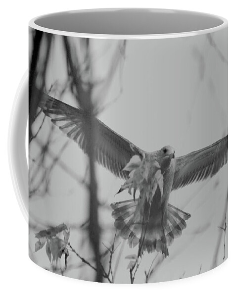 Seagull Coffee Mug featuring the photograph Seagull Amongst The Trees by David Stasiak
