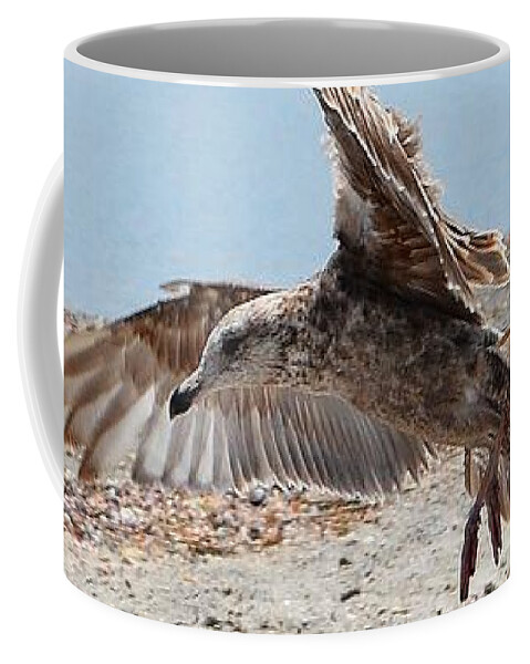 Beach Coffee Mug featuring the photograph Seagull and Shadow by Dani McEvoy