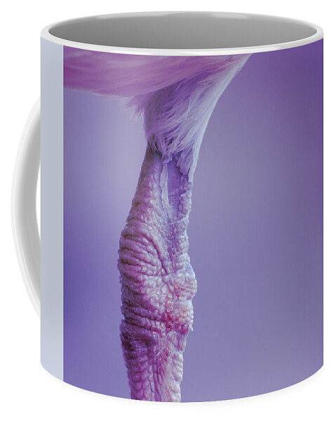 Animal Coffee Mug featuring the photograph Seagull by Bob Orsillo