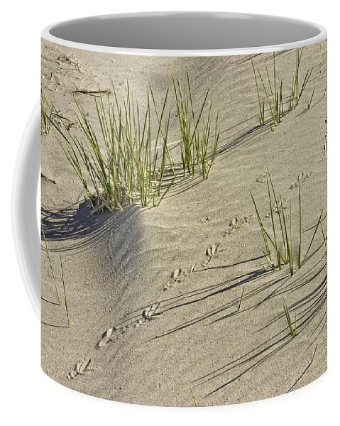 Beach Coffee Mug featuring the photograph Seagull Footprints and Beach Grass Popham Beach Maine by Keith Webber Jr