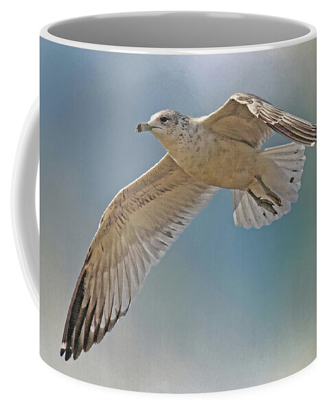 Seagull Coffee Mug featuring the photograph Seagull In Flight by H H Photography by HH Photography of Florida