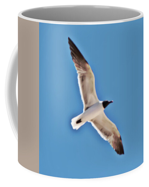 Seagull Coffee Mug featuring the photograph Seagull in Flight by Gina O'Brien
