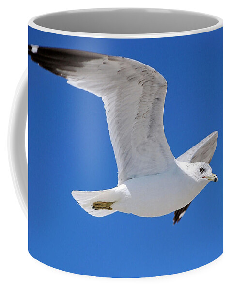 Photography Coffee Mug featuring the photograph Seagull by Ludwig Keck