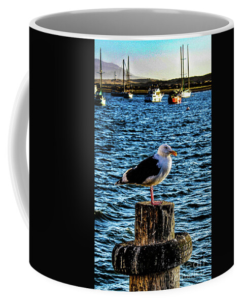 Bird Coffee Mug featuring the photograph Seagull Perch by Adam Morsa