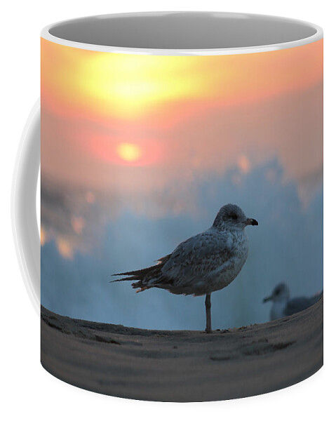 Sun Coffee Mug featuring the photograph Seagull Seascape Sunrise by Robert Banach