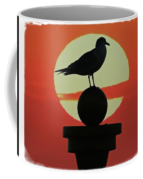 Alicegipsonphotographs Coffee Mug featuring the photograph Seagull Sunset by Alice Gipson