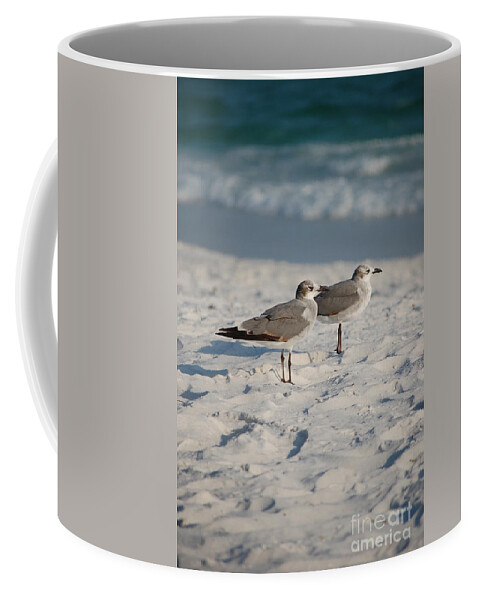 Seagulls Coffee Mug featuring the photograph Seagulls by Robert Meanor