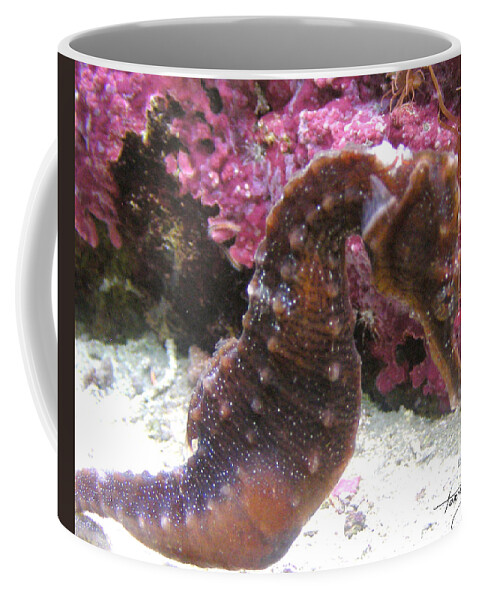 Faunagraphs Coffee Mug featuring the photograph Seahorse4 by Torie Tiffany