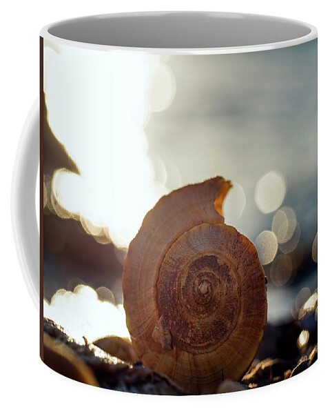 Seashell Coffee Mug featuring the photograph Seashell Bokeh by Brad Boland