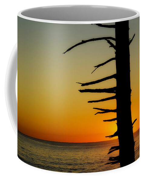 Branch Coffee Mug featuring the photograph Seaside Tree Branch Sunset 2 by Pelo Blanco Photo