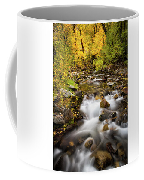 California Coffee Mug featuring the photograph Seasonal Moments by Nicki Frates