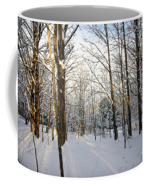 Snow Covered Coffee Mug featuring the photograph Seasons Change by Alana Ranney