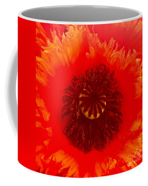 Flower Coffee Mug featuring the photograph Seattle by Denise Railey