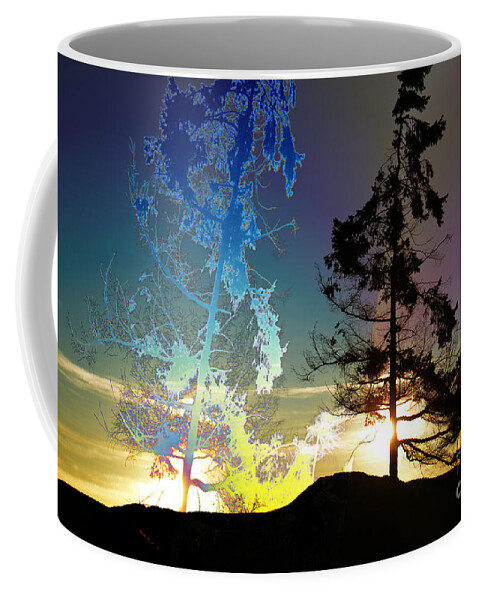  Coffee Mug featuring the photograph Sechelt Tree 2 by Elaine Hunter