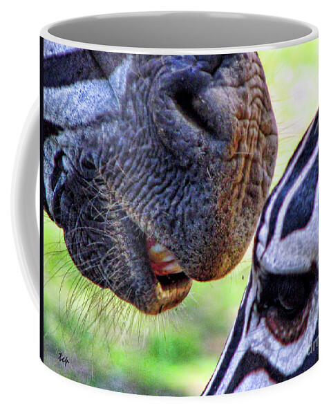 Zebra Coffee Mug featuring the photograph Secrets by Traci Cottingham