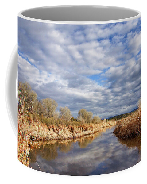 Reflections Coffee Mug featuring the photograph Sedona Wetlands by Leda Robertson